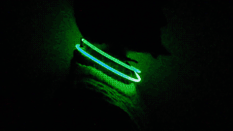 戴上這款心率監測LED項圈 喜怒哀樂都在脖子上