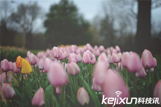 4招教你如何駕馭光線 拍照就要大膽捕捉色彩