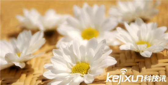 4招教你如何駕馭光線 拍照就要大膽捕捉色彩