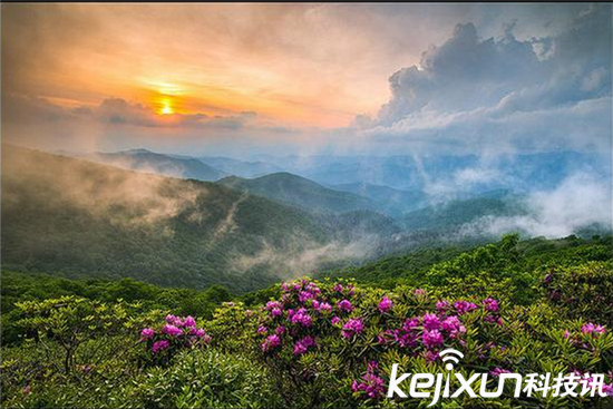 4招教你如何駕馭光線 拍照就要大膽捕捉色彩