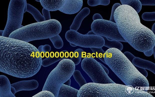 有了這個指甲刀 你還怕啃口指甲吃掉40億細菌嗎？