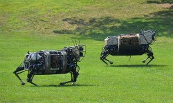 先別想無(wú)人機(jī)，谷歌開(kāi)始考慮用機(jī)器狗送貨