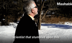 EnChroma太陽能眼鏡不止能裝酷 還能矯正紅綠視覺障礙