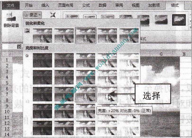在Excel2010中設置圖片屬性