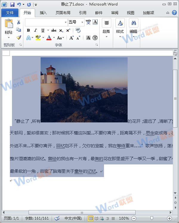 怎么把Word的內容以圖片格式插入到Excel2010中？