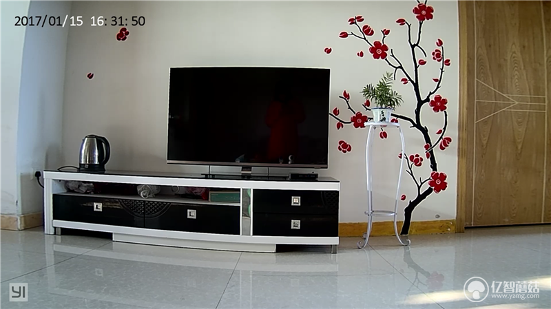 1484543458350137.png 小蟻白天高清.png