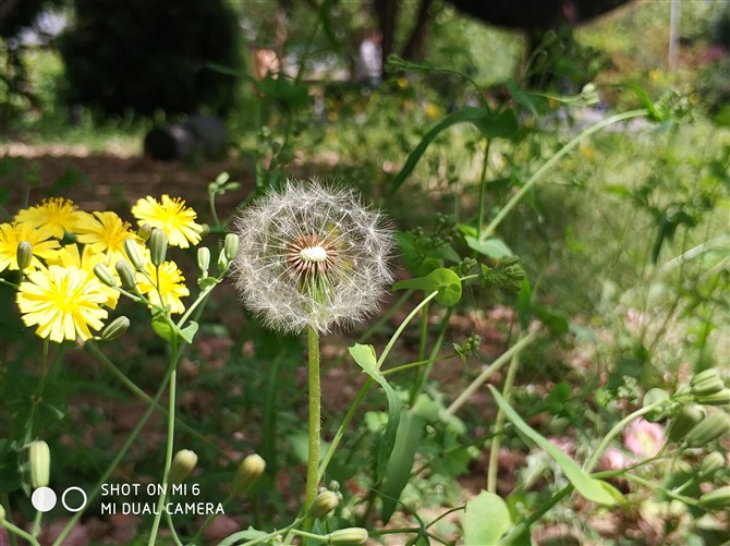 小米6拍照解析：配iPhone7P同方案雙攝