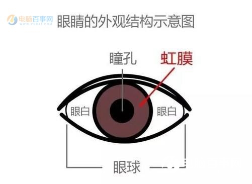 虹膜識(shí)別和眼紋識(shí)別哪個(gè)好？虹膜識(shí)別和眼紋識(shí)別的區(qū)別