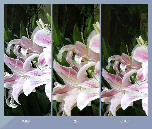 拍照誰更強?一加5 、小米6、榮耀9拍照樣張對比