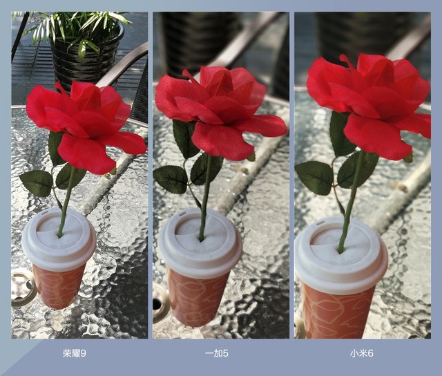 拍照誰更強?一加5 、小米6、榮耀9拍照樣張對比