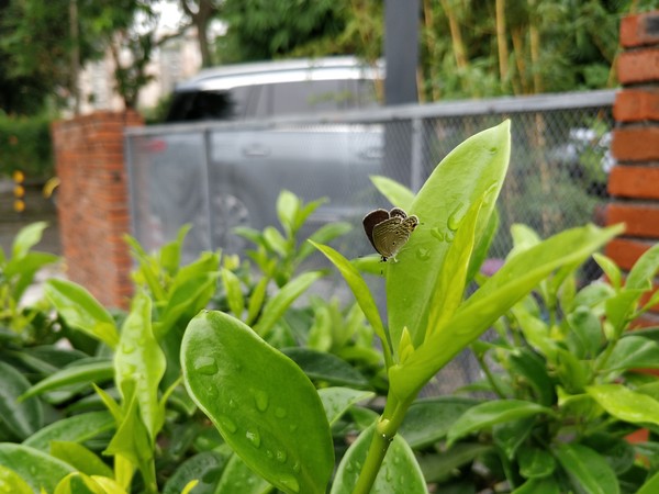 一加5評測：硬件無槽點中輕度使用兩天沒問題