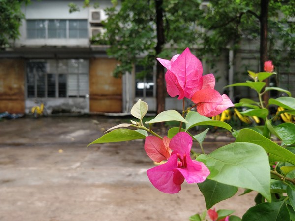 一加5評測：硬件無槽點中輕度使用兩天沒問題