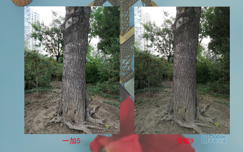 一加5和榮耀9對比評測:實用性再戰顏值 相差300元怎么選? 一加5和榮耀9對比評測:實用性再戰顏值 相差300元怎么選?