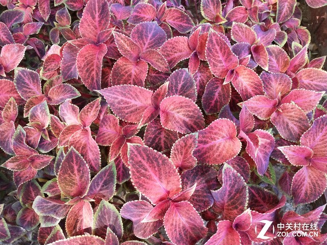 vivo X20評測：屏幕2.0時代顛覆的開端（不發） 