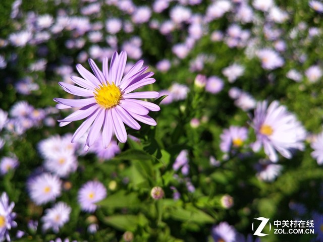 vivo X20評測：屏幕2.0時代顛覆的開端（不發） 