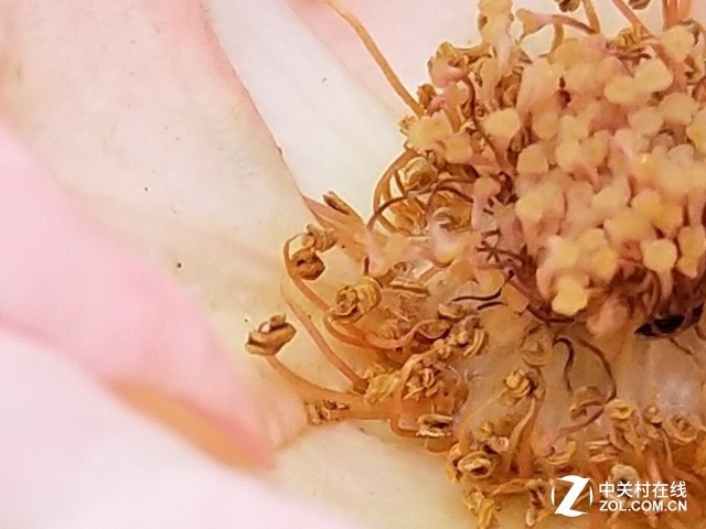 vivo X20評測：屏幕2.0時代顛覆的開端（不發） 