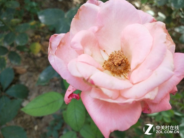 vivo X20評測：屏幕2.0時代顛覆的開端（不發） 