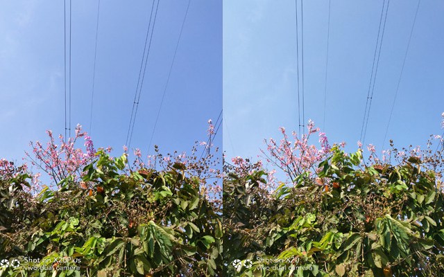 vivo X20Plus評測 大屏全面屏+雙攝拍照+HiFi