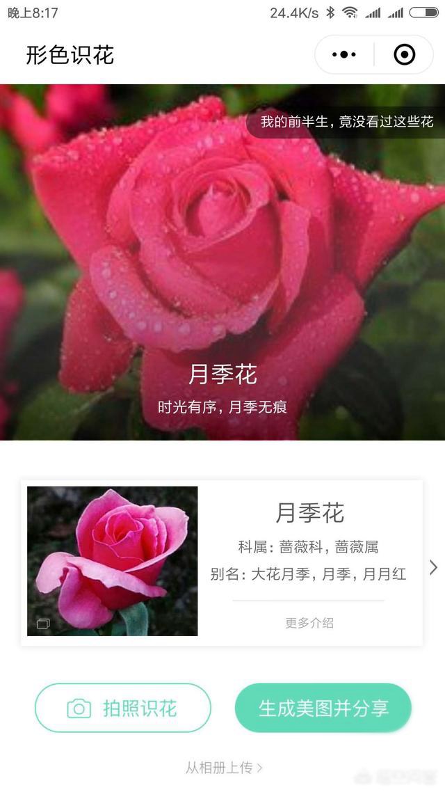 好玩的微信小程序有哪些?十款實用微信小程序推薦