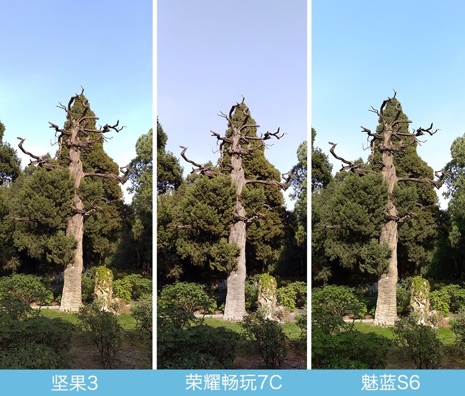 堅果3、榮耀暢玩7C、魅藍S6拍照樣張對比 千元機拍照哪個好?