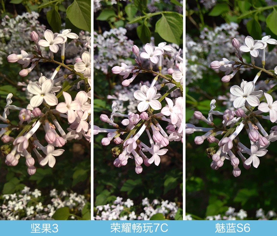 堅果3、榮耀暢玩7C、魅藍S6拍照樣張對比 千元機拍照哪個好?