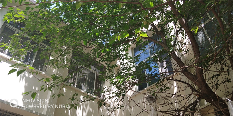 1799元起！努比亞Z18mini評(píng)測(cè)：3D曲面玻璃+2400萬(wàn)像素