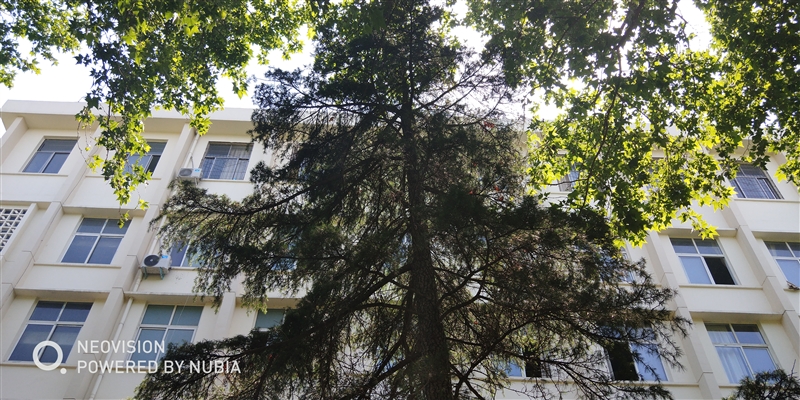 1799元起！努比亞Z18mini評(píng)測(cè)：3D曲面玻璃+2400萬(wàn)像素