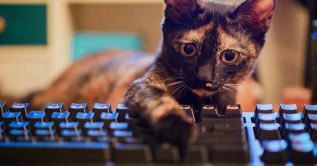 電腦鍵盤(pán)上F1-F12快捷鍵的作用大全