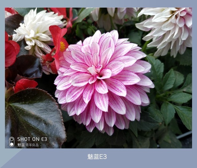 360N7、魅藍E3、紅米Note5對比評測 千元強機你選誰?