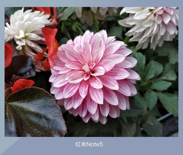 360N7、魅藍E3、紅米Note5對比評測 千元強機你選誰?