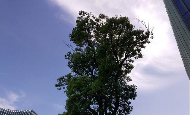 紅米S2值得買嗎 紅米S2全面評測