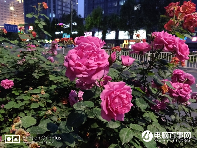 一加手機6怎么樣 值得買嗎？一加6評測