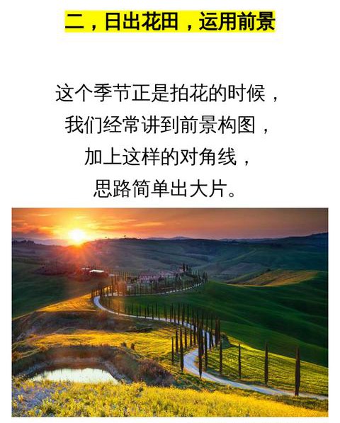 手機拍照小技巧：10個逆光風景拍攝技巧