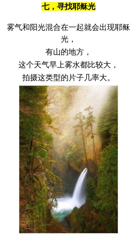 手機拍照小技巧：10個逆光風景拍攝技巧