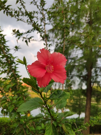 2018最強(qiáng)安卓旗艦!小米8詳細(xì)評(píng)測(cè)