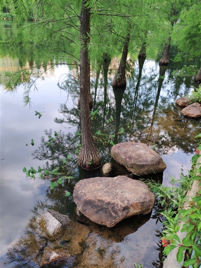 2018最強(qiáng)安卓旗艦!小米8詳細(xì)評(píng)測(cè)