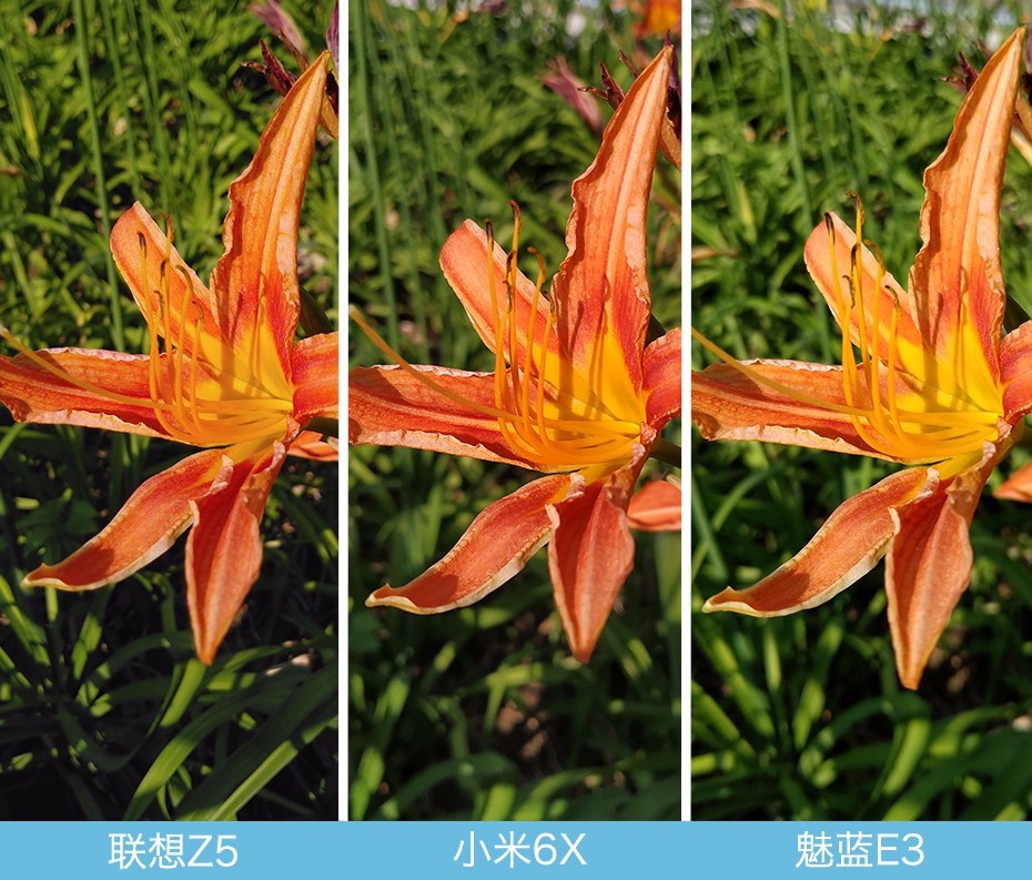 聯想Z5、小米6X、魅藍E3拍照對比評測 千元機相機對決