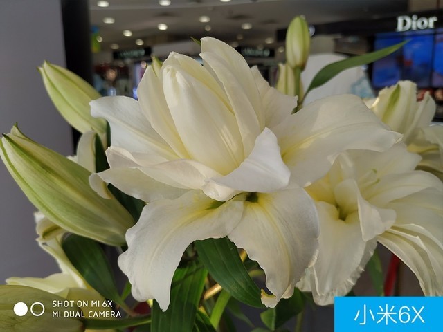 聯想Z5、小米6X、魅藍E3拍照對比評測 千元機相機對決