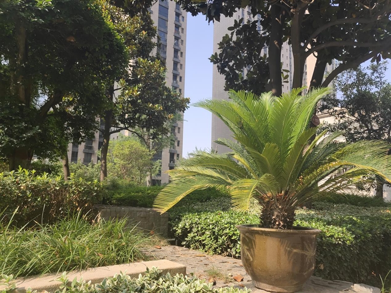 首發升降式相機 vivo NEX評測：這才是未來的手機