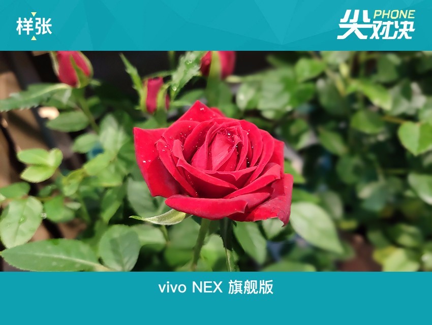 vivo NEX和iPhone X哪個好 蘋果iPhoneX對比vivoNex區別