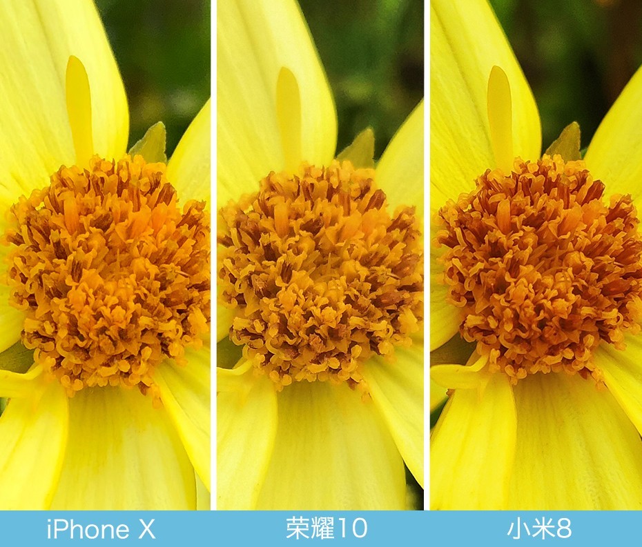 iPhone X、榮耀10、小米8拍照對比評測 蘋果秒殺一切?