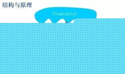 小米8透明探索版不完全拆解：我們發現了一個秘密