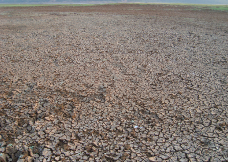 全球變暖可能導(dǎo)致土壤加速向大氣釋放二氧化碳