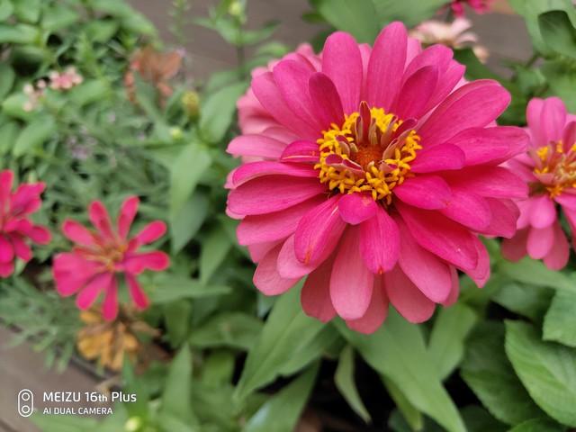 魅族16值得買嗎 魅族16與16 Plus全面評測