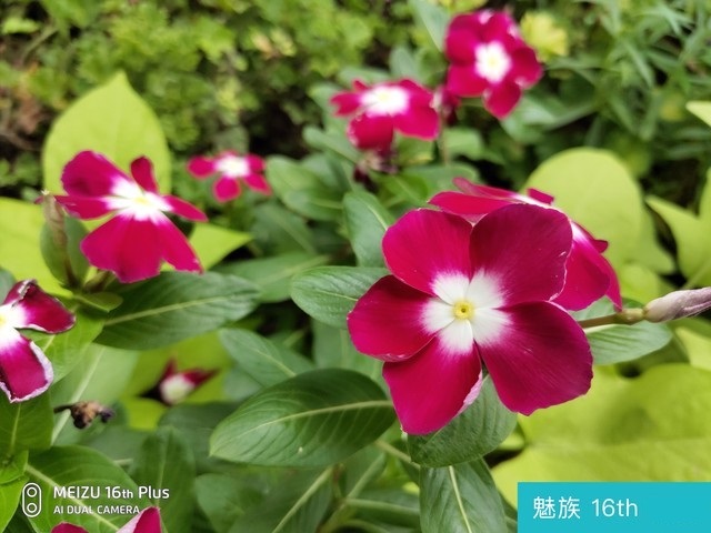 魅族16和榮耀Note10哪個好?榮耀Note10對比魅族16評測