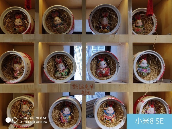 堅果Pro2s和小米8se哪個好？堅果Pro2s對比小米8se區別評測