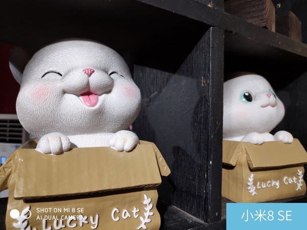 堅果Pro2s和小米8se哪個好？堅果Pro2s對比小米8se區別評測