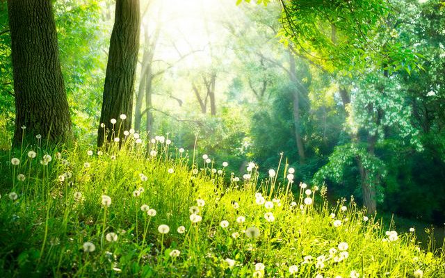 68句唯美簡短有內涵微信個性簽名大全 微信簽名一句話內涵