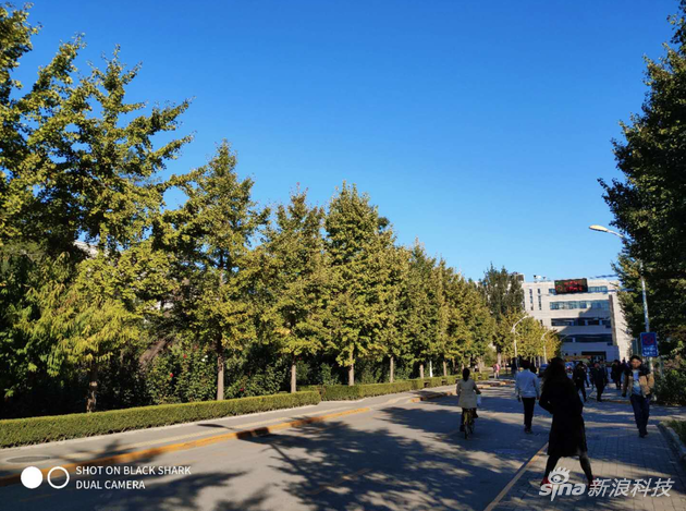 日間樣張2,天空顏色似有一些過飽和