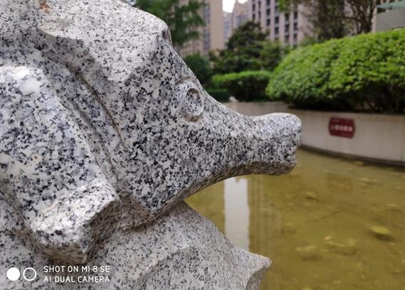 小米8 SE和魅族X8拍照對比